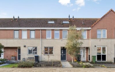 Visarend 49