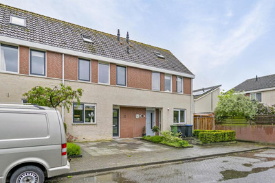 Visarend 61