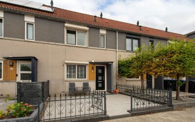 Grauwe Gans 20