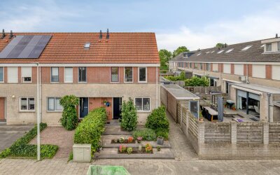 Grauwe Gans 42