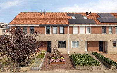 Grauwe Gans 62