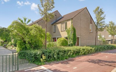 Ruigewerve 2