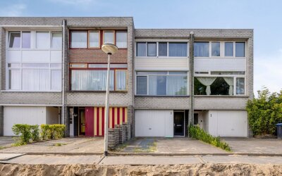 Zilverschoo. 2