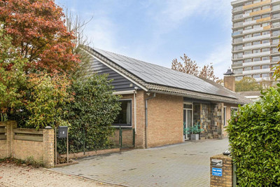 Bijvang 6