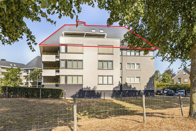 't Lindeke 48