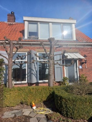 Hogeweg 15