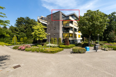 Mariaplein 49