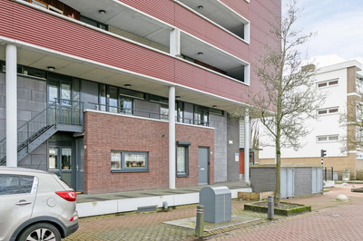 Burgemeeste. 373