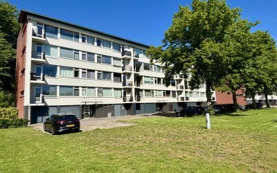 Jacob van Ruijsdaelstraat 50-A
