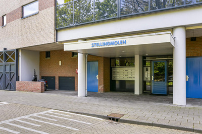 Van Leeuwen. 52