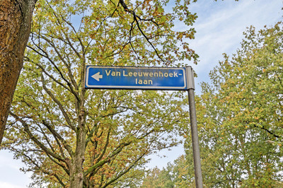 Van Leeuwen. 440