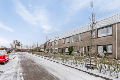Iepenberg 7