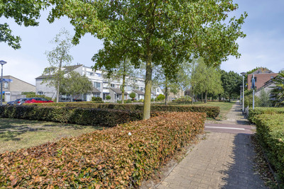 Kalmoesberg 12