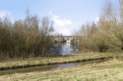 Morelberg 66