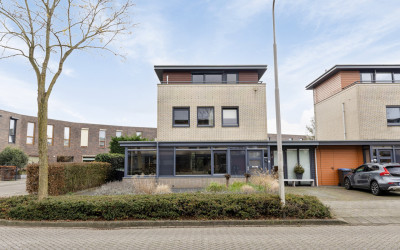 Madeliefberg 1