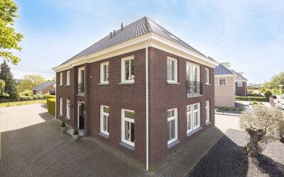 Elsanta 20