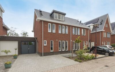 Steenarend 17