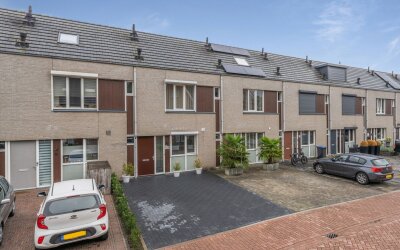 Steenarend 18