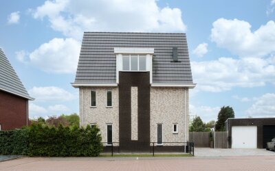 Steenarend 3