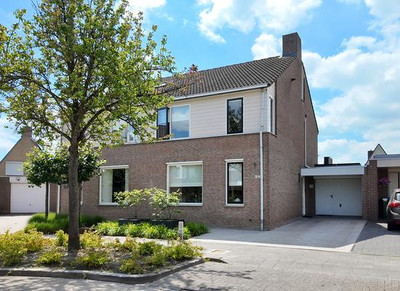 Hoornbloems. 24