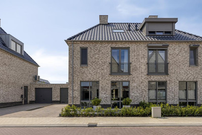 Tijgeroog 11