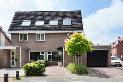 Dennenpad 1