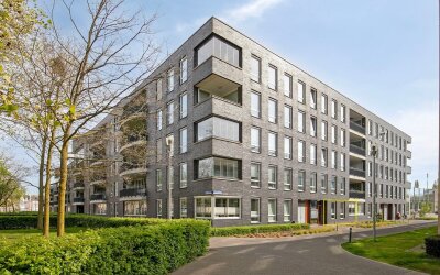 Rijngraafstraat 36