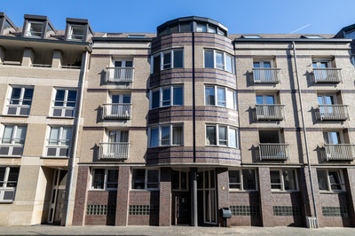 Catharinast. 13-D