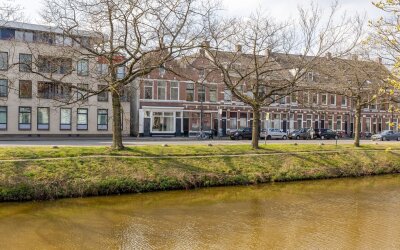 Tramsingel 113
