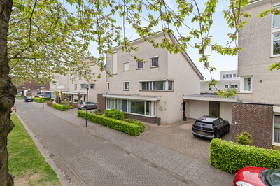 Groentje 6