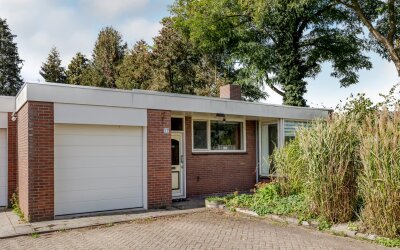 Bergschot 27