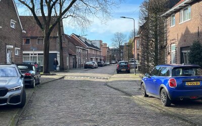 Zonnebloems. 24