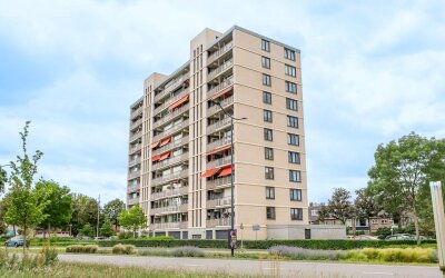 Grote Spie 365