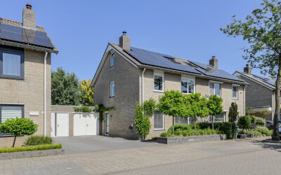 Koolmees 12