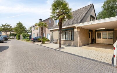 Iepenbroek 3