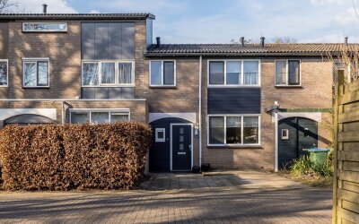 Steenbroek 53