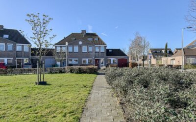 Schijfkamille 19
