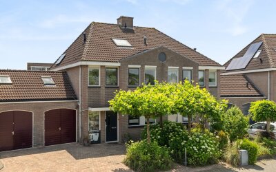 Schijfkamille 9