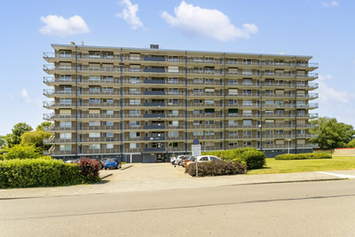 Hobokenstra. 247
