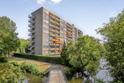 Hobokenstraat 503