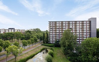 Antwerpenstraat 212