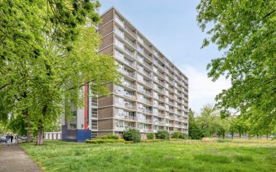 Antwerpenstraat 308
