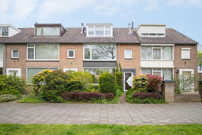 Molstraat 37