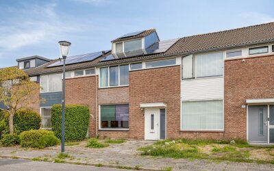 Hasseltstraat 19