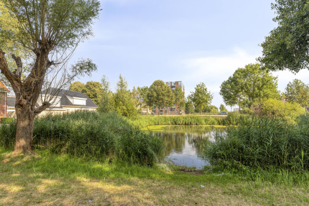 Tussenwoning te koop: Daniël Marotstraat 37, Breda