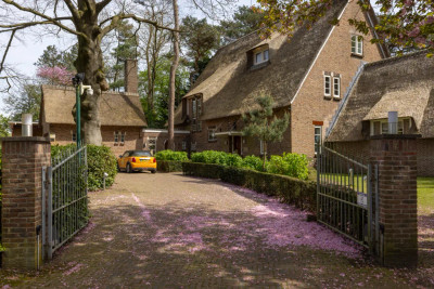 Montenspark 1