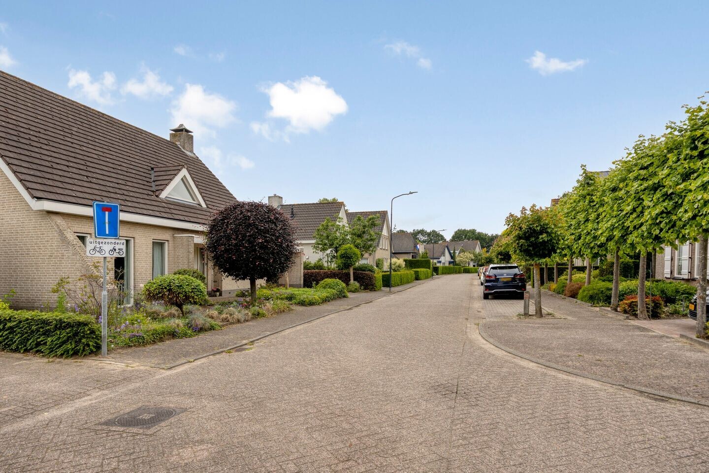 Vrijstaande woning te koop: Liesbosdreef 12, Prinsenbeek