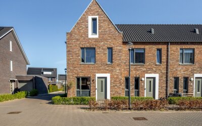 Pijlkruid 10