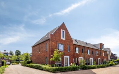 Pijlkruid 9