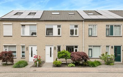 Korenbloem 11